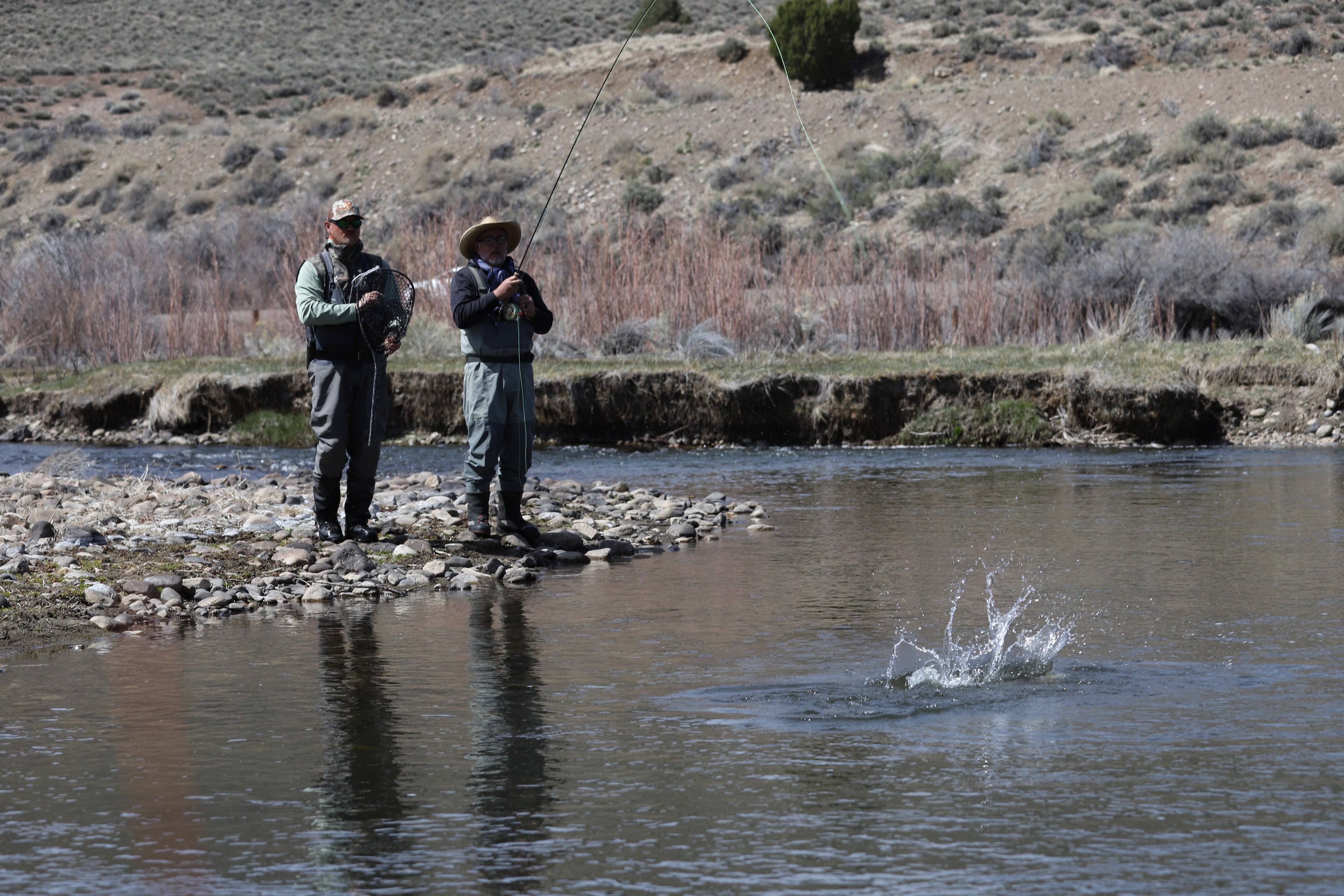 Client hooked up with a huge trout launching from the East Walker River