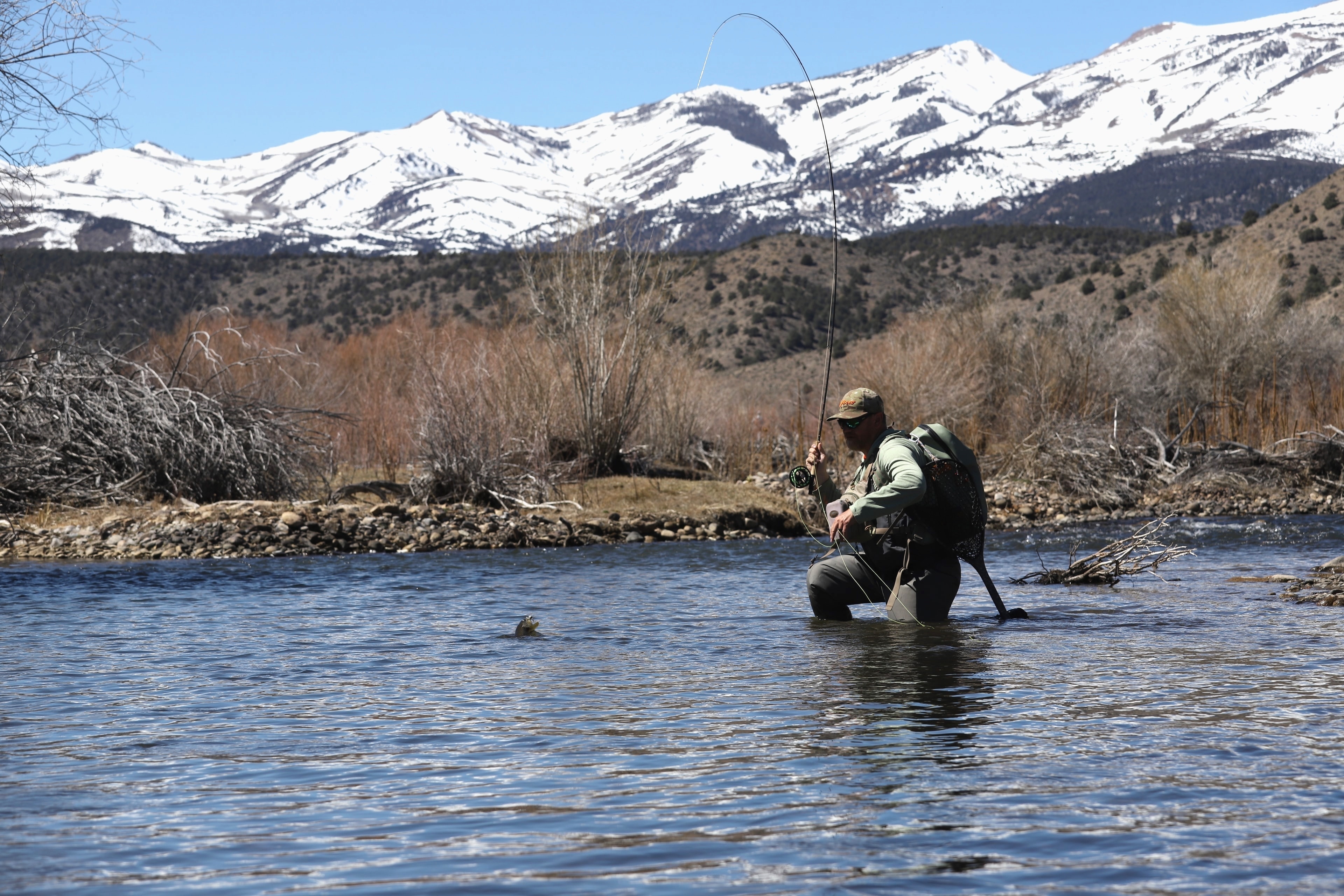 Angler landing a fish on the East Walker with snow-covered Sierra Nevada peaks behind